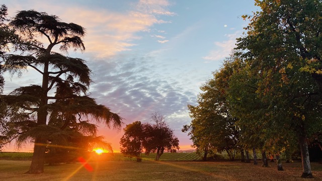 excursion matin minibus