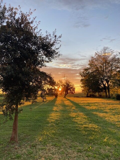paysage lever de soleil