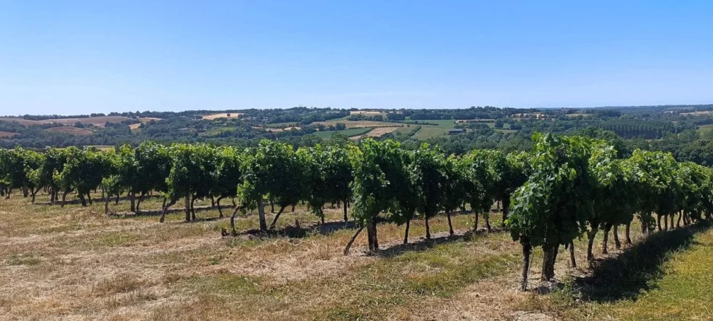 Terroirs du gers